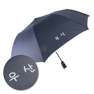 CM 2단 폰지바이어스 프린팅 우산
