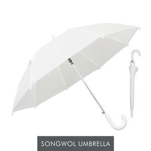송월 반투명 화이트 우산